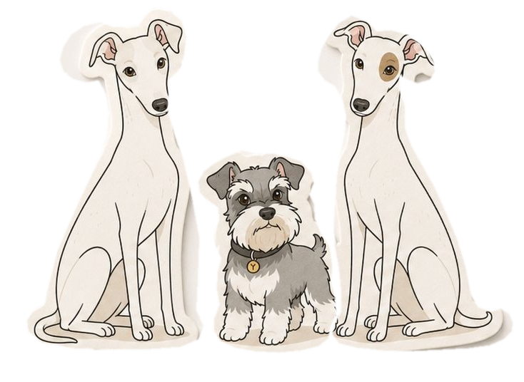 Tres perros ilustrados representan la selva urbana de Yunga